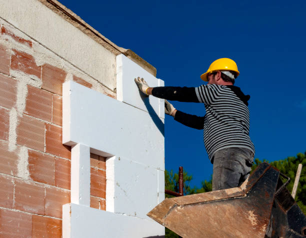 Best Insulation Installation Services in Warroad, MN