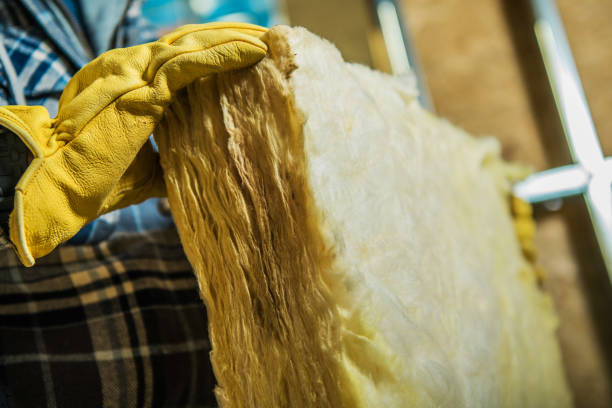 Best Commercial Insulation in Warroad, MN